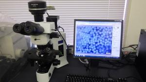 光学顕微鏡外観